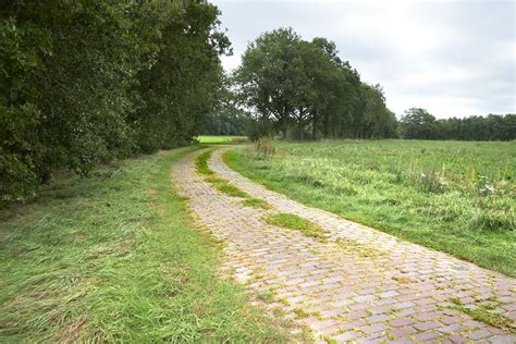  De Acht Pagoden van Bulguksi: Een Symfonie in Steen en Kleur!